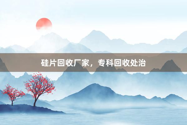 硅片回收厂家,专科回收处治